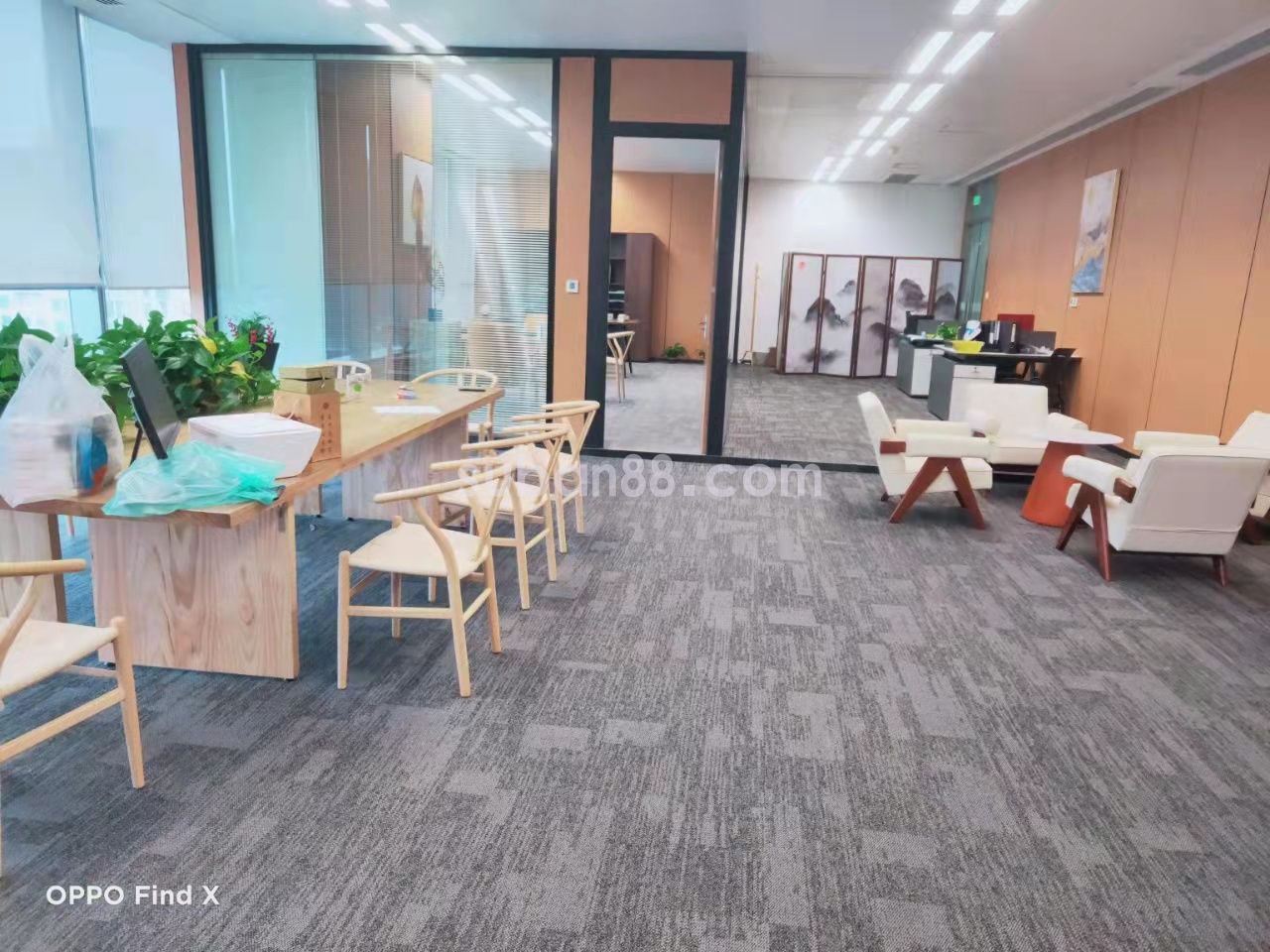蘇州市工業(yè)園區(qū) CBD中心 湖景房 精裝帶家具